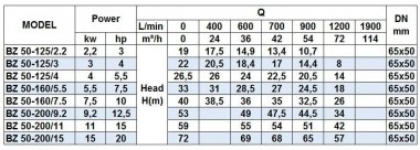 BZm 50-125/3 насос для перекачки сусла из нержавеющей стали центробежный моноблочный — BTS Engineering