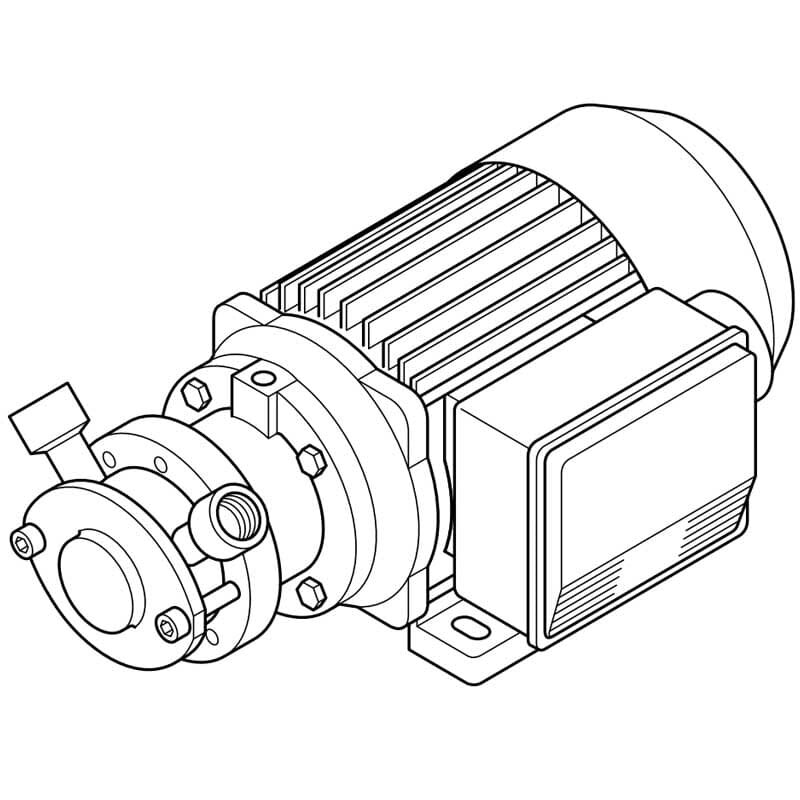 Импеллерный насос для хлебной закваски LIVERANI EP MICRO 3/8" NR MF/I 0,12 кВт, 900 об/мин, 220В с реверсивным переключателем фото 1 — BTS Engineering