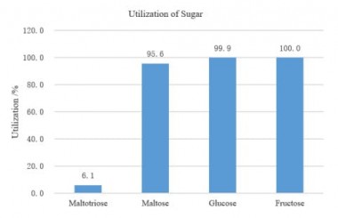Дріжджі спиртові Angel AG-2 Distiller's для віскі, упаковка - 0,5 кг — BTS Engineering