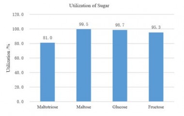 Дріжджі Angel AM-1 Distiller's для односолодового віскі, упаковка - 0,5 кг — BTS Engineering