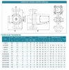 Pompe de séchage à circulation HGR750-DN50, 220V avec rotor humide фото 3 — BTS Engineering