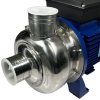 Відцентровий насос BB300/110D, AISI304, 220V/50Hz, 2900 фото 6 — BTS Engineering