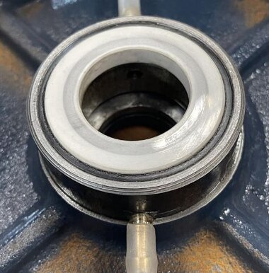 BGLH 40-160(I)A, 55, (11,7/28), 2,2kW, 2880 насос нержавеющий in-line с тандемным механическим уплотнением для концентрата выпарки — BTS Engineering