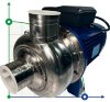 Wasserkreiselpumpe BB300/150D, AISI304, 220V/50Hz, 2900 фото 1 — BTS Engineering