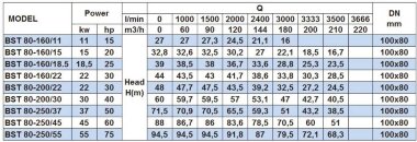 Pompa odśrodkowa monoblokowa BST 80-250/37, 3000 — BTS Engineering