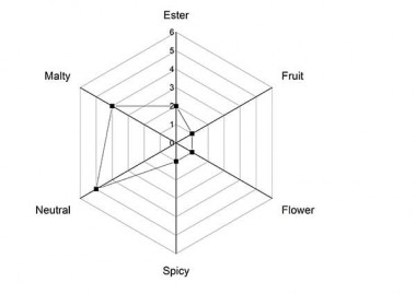 Дріжджі Angel BF16 для швейцарського лагера, упаковка - 0,5 кг — BTS Engineering