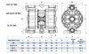 Pneumatic Diaphragm Pump PHOENIX 100-AISI 3/4, P100-SHTSSV1 фото 2 — BTS Engineering