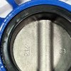 PN16 DN80 Zasuwa motylkowa, korpus żeliwny, tarcza AISI 304, gniazdo EPDM фото 3 — BTS Engineering