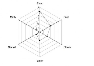 Дріжджі Angel CS31 для бельгійського еля, упаковка - 0,5 кг — BTS Engineering