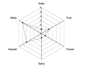 Дріжджі Angel BF27 для лагера, упаковка - 0,5 кг — BTS Engineering