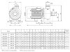 Pumpe für industrielle Waschanlagen BK200D, 1,5kW, AISI304, 220V/50Hz, 2900 mit offenem Laufrad фото 11 — BTS Engineering