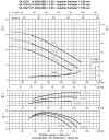 Pompa wirowa 3MHS/I 65-125/5,5, 380V фото 3 — BTS Engineering