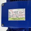 Насос для бражки, сусла BK300, 2,2kW, AISI304, 380V/50Hz, 2900 з відкритим робочим колесом фото 7 — BTS Engineering