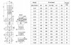 Pompa wielostopniowa CDLF 4-30, AISI 304 фото 4 — BTS Engineering