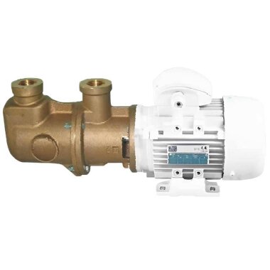 Bomba de tornillo de bronce para bombeo de líquidos viscosos y oleosos LIVERANI MO-B 44 MF 0,55 kW, 1400 rpm, 220 V &mdash; BTS Engineering