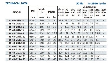 Pompe console pour irrigation BSM 40-315/300 (27/117), 30kW, 2900 — BTS Engineering