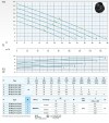 Bomba sumergible Dreno AT 80/2/173 C.257 con impulsor abierto monocanal фото 3 — BTS Engineering