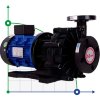 Pompa magnetyczna QHX-F-553CSV-5V38AFGBS-3801, PPH, 550L/min, 26m, 380V фото 1 — BTS Engineering