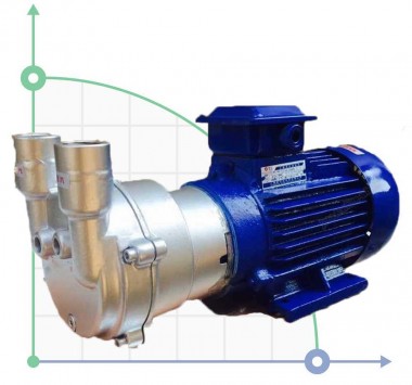 2BV2061 (AISI 316) Ex вакуумный насос для выпарных аппаратов — BTS Engineering