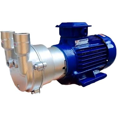 2BV2061 (AISI 316) Ex Vakuumpumpe &mdash; BTS Engineering
