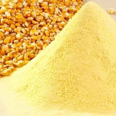 Molino, descascarillado, procesamiento complejo de maíz 240 toneladas al día — BTS Engineering