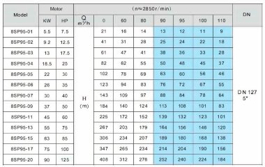 Pompe de puits 8SP95/05, sortie : 5 pouces, 22 kW, 380 V — BTS Engineering