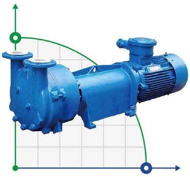 2BV6111 Vakuumpumpe für Dampf &mdash; BTS Engineering