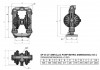 Pompa membranowa DP 30 SS/SN - SS/N - SS/B фото 3 — BTS Engineering