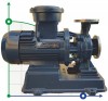 BGWHB 50-100 (12,5/12,5), 1,1kW, 2880, Ex Stainless Steel Horizontal Pump фото 3 — BTS Engineering