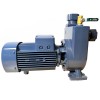 BXZm W18-30-2,2kW, 2900, 220V pompe auto-amorçante à roue ouverte фото 8 — BTS Engineering