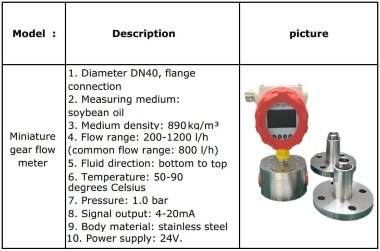 DN40 Шестеренчастий нержавіючий витратомір для соєвої олії 890 кг/м3, 50-90°C, 200-1200 l/h, 1 бар, 4-20mA, знизу вгору — BTS Engineering