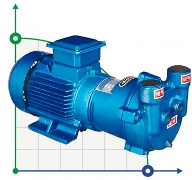 2BV2061 водокольцевой вакуумный насос — BTS Engineering