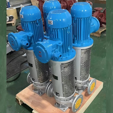 Bomba vertical de aceite térmico 350 grados centígrados LQLRY40-40-210/2-CEX, 6,3 m3/h, 50 m, 4 kW, 2900 rpm, Ex — BTS Engineering