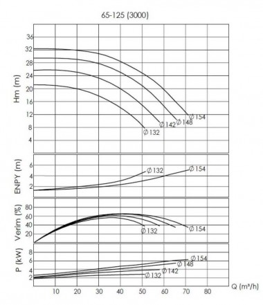 BTKF-I 65-125, 4 kW - насос in-line (3000) — BTS Engineering
