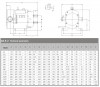 Bomba Lobular RLP-Z-35L, AISI 304, 4 kW, 380V 50HZ 3P para grasa фото 2 — BTS Engineering