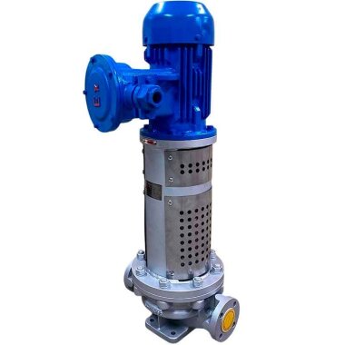 Вертикальный насос термомасла LQLRY50-50-210/2-CEX, 12,5 м3/ч, 50 м, 5,5 кВт, 2900 об/мин, Ex &mdash; BTS Engineering