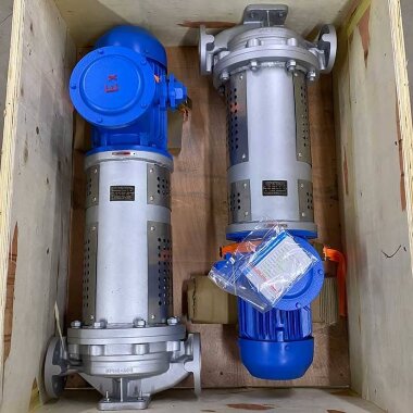 Vertical hot oil pump 350°C LQLRY65-65-210/2-CEX, 25 m3/h, 50 m, 7.5 kW, 2900 rpm, Ex &mdash; BTS Engineering