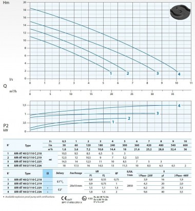 Дренажный погружной насос Dreno AT-EX 50/2/110 C.226 с двухканальным рабочим колесом — BTS Engineering