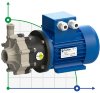 FLUIMAC COMPASS CM 4 PP Pumpe mit Magnetkupplung, 0,12 kW, 220V фото 1 — BTS Engineering