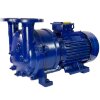 Vacuum pump 2BV5111 фото 1 &mdash; BTS Engineering