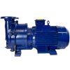 Vacuum pump 2BV5111 фото 6 &mdash; BTS Engineering