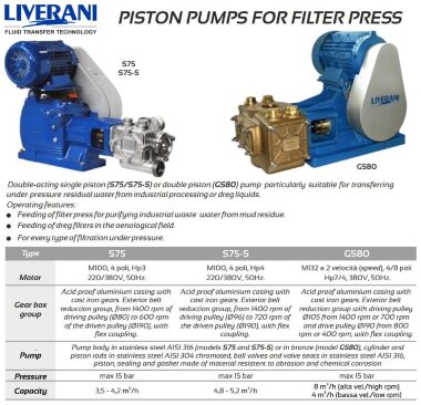 Pompa jednotłokowa dwustronnego działania POMPA S75-S Inox AISI 316 5 m3/h do pras filtracyjnych — BTS Engineering