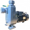 Pump for oil hydrofusion BXZ 20-32-2,2kW, 2900, 380V, imp:AISI 304 Self-priming pump  фото 6 — BTS Engineering