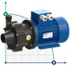 Насос для химии с магнитной муфтой FLUIMAC COMPASS CM 6 PVDF, 0,25 кВт, 220В фото 1 — BTS Engineering