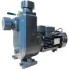 Pompa samozasysająca BXZ 22-40-3kW, 2900, 380V, imp:AISI 304 фото 1 &mdash; BTS Engineering