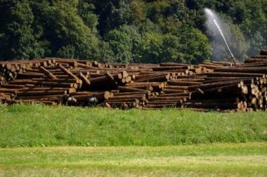 Спринклер для полива, орошения B30 ECO FC BSP — BTS Engineering