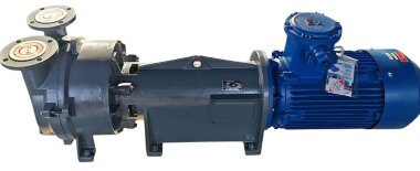 Вакуумный насос 2BV6161 Ex (AISI 316) &mdash; BTS Engineering