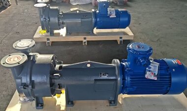 Вакуумный насос 2BV6161 Ex (AISI 316) &mdash; BTS Engineering