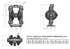 Bomba neumática de diafragma DPX 30 AL/TV фото 3 — BTS Engineering