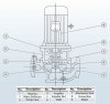 IHG BGLHB 40-160A (5.9/28), 1.5kW, 2880, Ex - bomba vertical de acero inoxidable фото 2 — BTS Engineering
